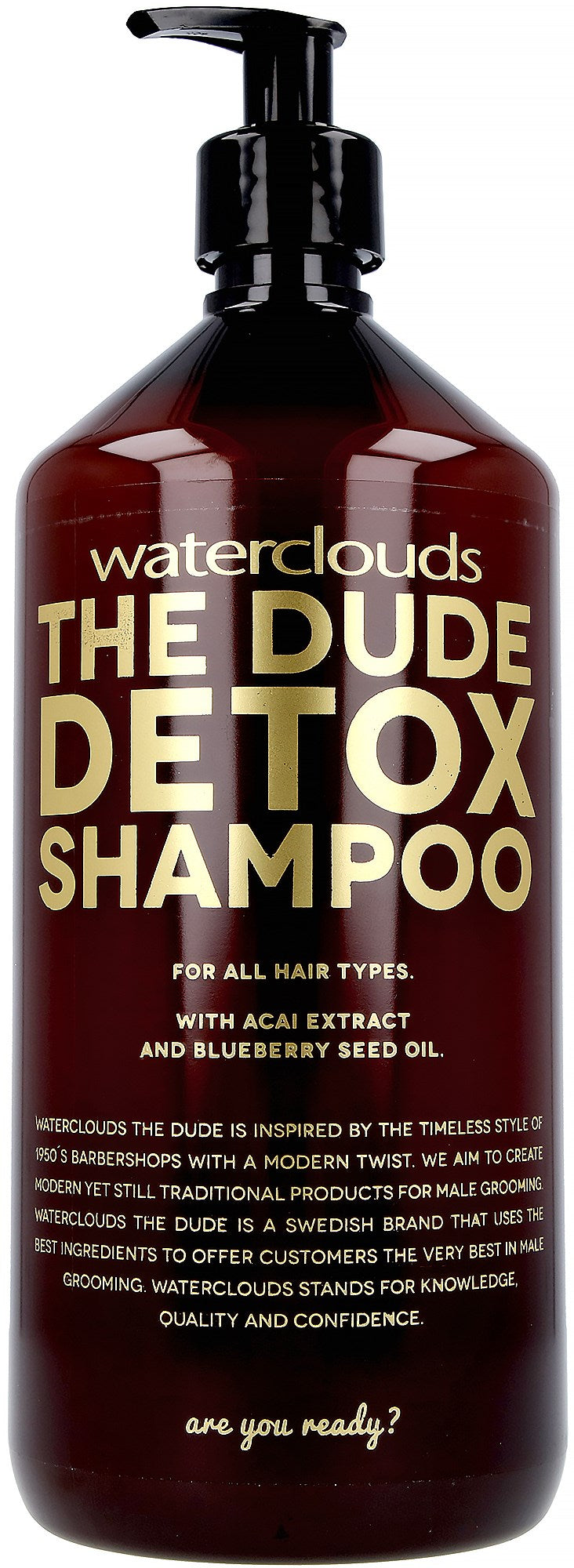 Waterclouds The Dude Detox Shampoo 1000ml